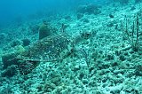 Curacao 04-12 578